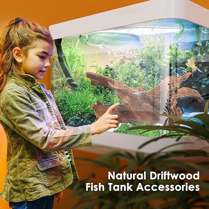 Jorewood Natural Aquarium Driftwood for Fish Tanks & Reptile Terrariums – Safe Fish Tank Decorations, Unique Twisted Branches 3-Piece 7-11 Inch Low Tannin, Easy to Sink