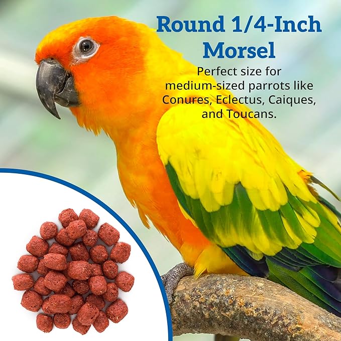 Scenic Apple Paradise Premium Parrot Food - Apple & Natural Flavors, High Protein, Low Iron Conure Bird Food, Eclectus & Other Small Pet Parrots, Omega 3, Vitamins & Minerals, 2 LB Bag