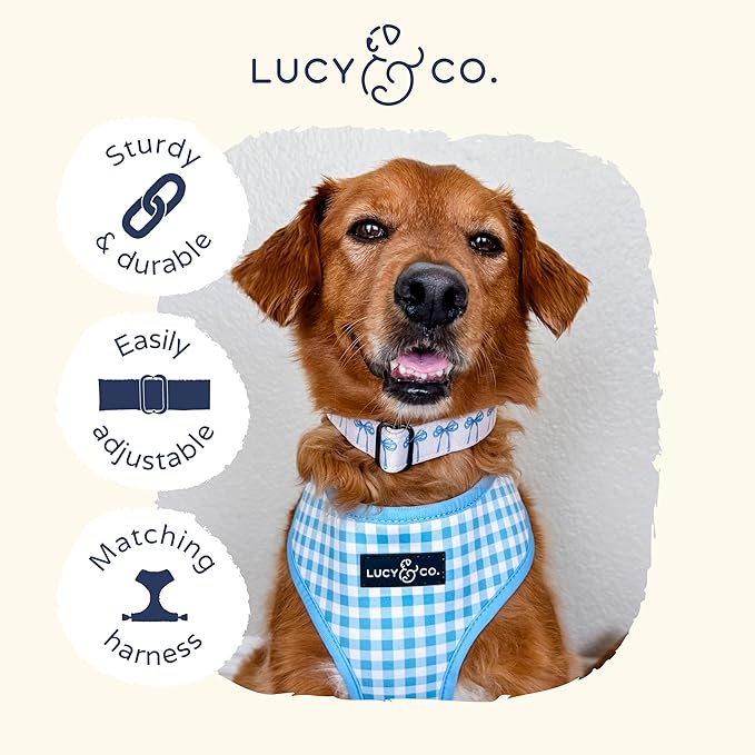 Lucy & Co. Dog Collar - Durable Lightweight Designer Collar for Pets - Adjustable Metal Safety Buckel - Small - White with Blue Bows