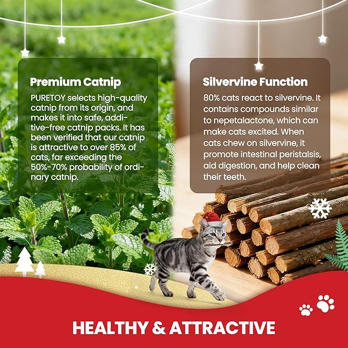 Christmas Cat Toys - 5PCS Catnip Toys for Cats Christmas Theme, Cat Chew Toy with Silvervine Sticks for Cats Health, Durable Fleece Material Snowman, Gingerbread, Cane, Coffee, Holly Berry