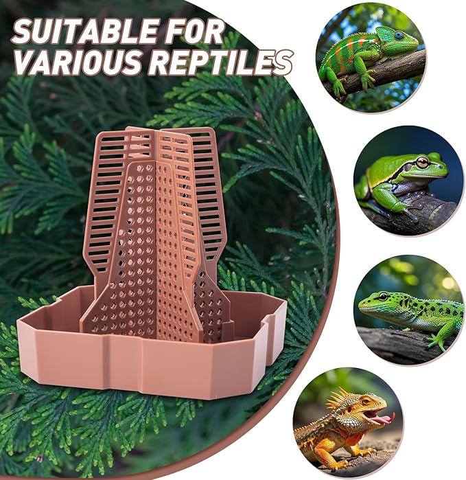 Reptile Feeder Bowls with Climbing Ladder for Chameleon,Bearded Dragon,Guardians Hunting Bugs Keep Training Terrarium Bowls for Lizards,Frogs,Geckos Other Small Pets,Brown (Large)