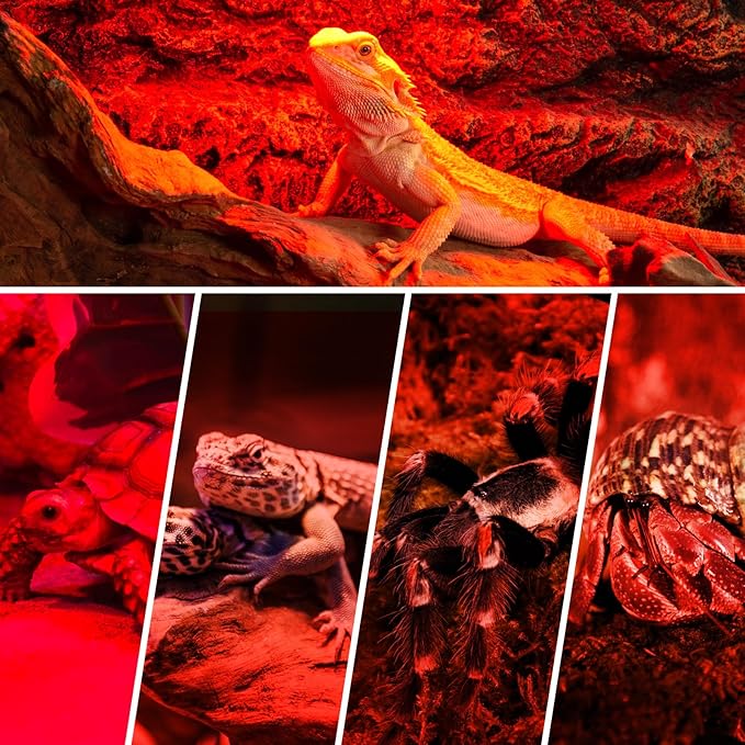 REPTI ZOO 150W Infrared Heat Lamp Bulb for Reptile, 2 Pack Infrared Basking Spot Light for Reptiles & Amphibian,Bearded Dragon, Leopard GeckoTurtle,Lizard, Chickens | Pet Brooders Heat Lamp