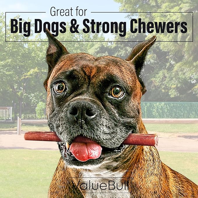 ValueBull Bully Sticks for Dogs, Thick 6 Inch, 50 Count - All Natural, Grass Fed, Single Ingredient, Long Lasting Dog Treats