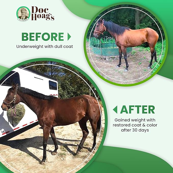 Doc Hoag’s Aloe Vera+Agave Premium Horse Supplement – Made in USA – Original Udder Balm – Natural Gastric Support for Horses & Large Animals – Stress Relief & Ulcer Care, 128 Fl Oz.