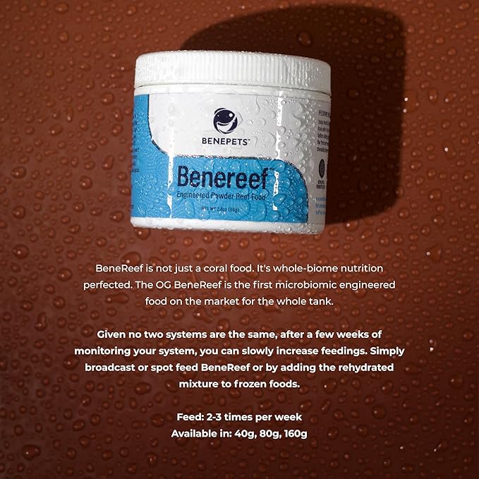 Benepets Benereef Powder Complete Reef Nutrition - Optimize Coral Growth, Color & Regeneration with Max Nutrient Absorption, Prebiotics & Probiotics, Coral & Fish Feed - 80 Grams