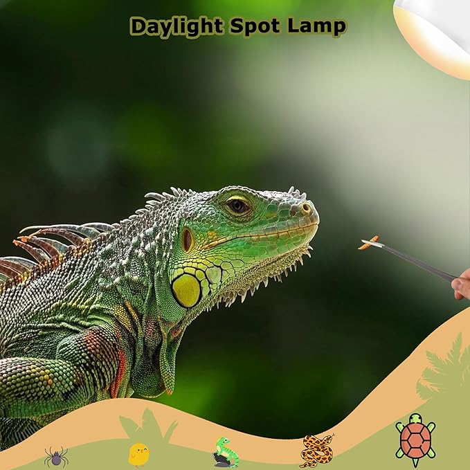 60W Reptile Heat Lamp Bulbs, 2.5 Inch UVA Basking Spot Light for Bearded Dragon, Lizard, Tortoise, Chicks & Amphibians – Simulated Natural Sunlight, Daylight Bulb for Terrarium E26 | 2 Pack