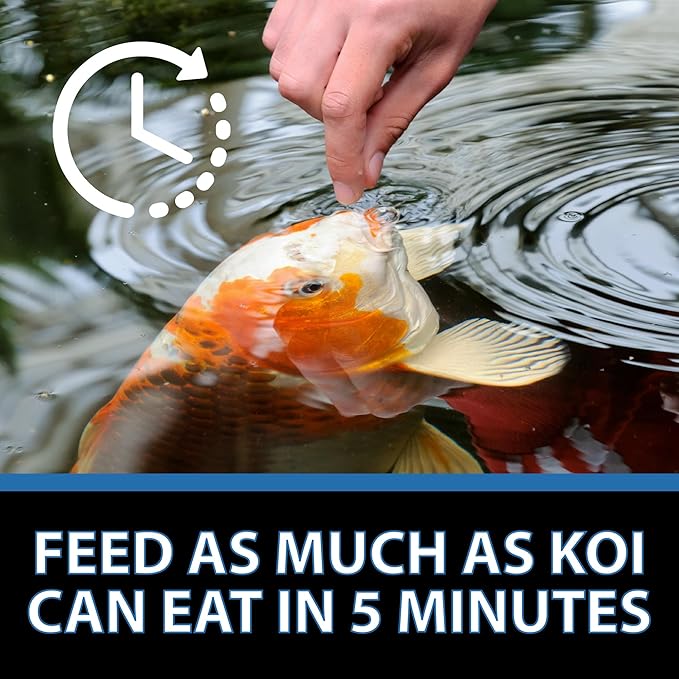 CrystalClear Platinum Fish Food, Premium Floating Pellets for Koi & Goldfish – Boost Growth, Color, and Wellness in Backyard Ponds & Water Gardens, 5mm Pellets, 2.2 Lbs