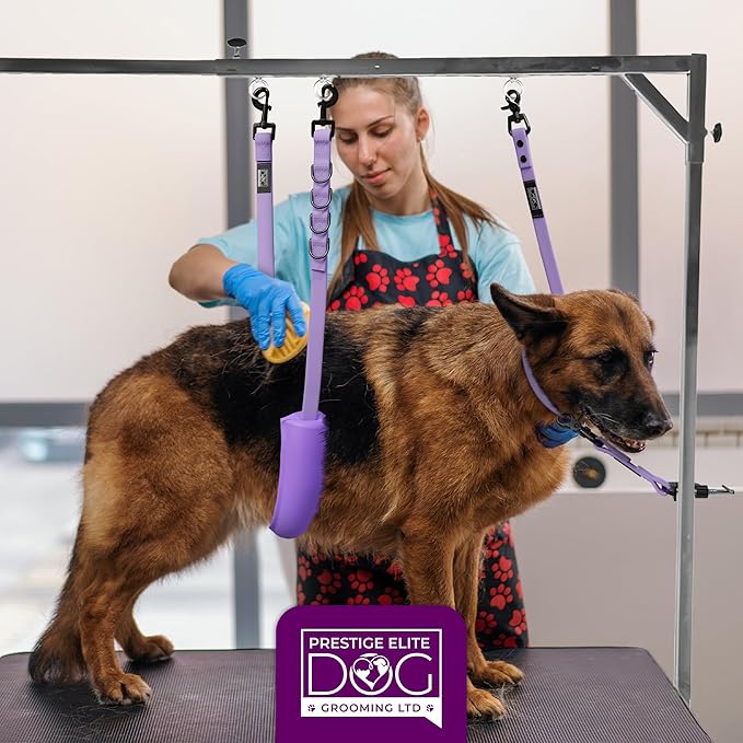 Prestige Elite - Grooming loops for Dogs, Groomers Helper, Grooming Loops for Pet Groomers Adjustable Bio Thane Dog Grooming Loop, Belly Strap, Grooming Noose, Waterproof Extension Strap & Suction Cup