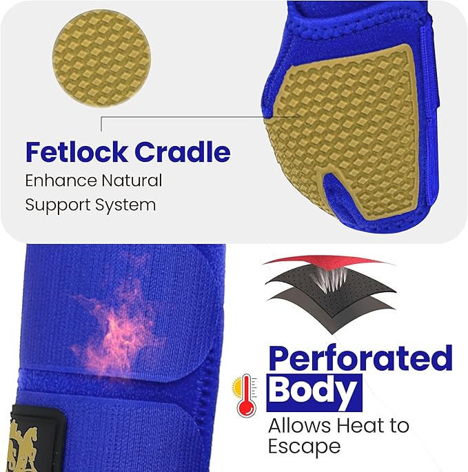 RS Premium Design Gold Line Horse Boots | Comfortable, Protective & Shock Absorber | Sport Boots for Horses Best for Jump Training | Ok Fabric 1682D Provides Ultimate Flexibility