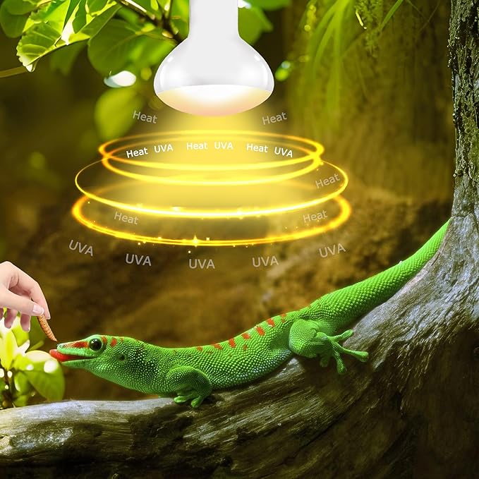 UVA Reptile Heat Lamp Bulb 60W - Basking Light for Bearded Dragons, Lizards, Tortoises, Chicks & Amphibians, Simulated Sunlight for Terrariums, Supports Bone Health & Metabolism | 2 Pack