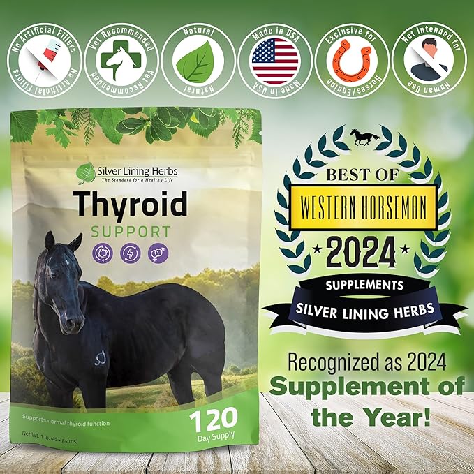 Silver Lining Herbs Thyroid Support for Horses – Herbal Horse Supplement for Normal Thyroid Function, Hormone Balance & Healthy Metabolism with Irish Moss, Kelp, Parsley – 120-Day Supply