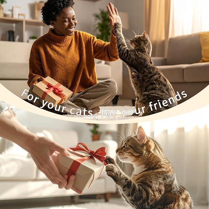 Cat Toy Burger Shape, Fun Kick and Toss Catnip Toy with Crinkle Sound, Includes Catnip & Silvervine Powder (5g+5g) + 5 Reusable Pouches, Gift for Indoor Cats