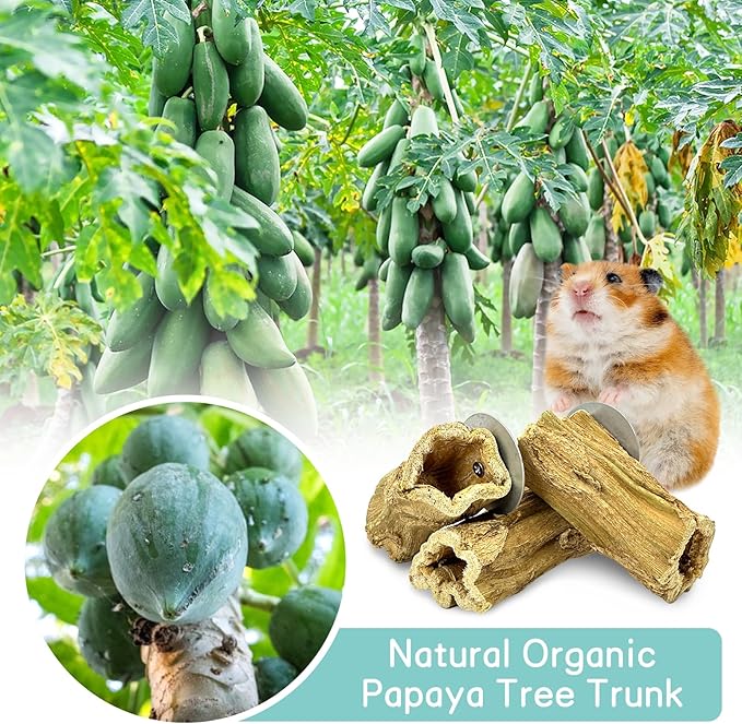 Fhiny Rabbit Chew Toys, 3 PCS Hanging Natural Papaya Wood Chew Sticks Guinea Pig Treats for Dental Care Small Animal Molar Snacks Bunny Treats for Rabbits Guinea Pigs Chinchillas Hamsters Gerbils