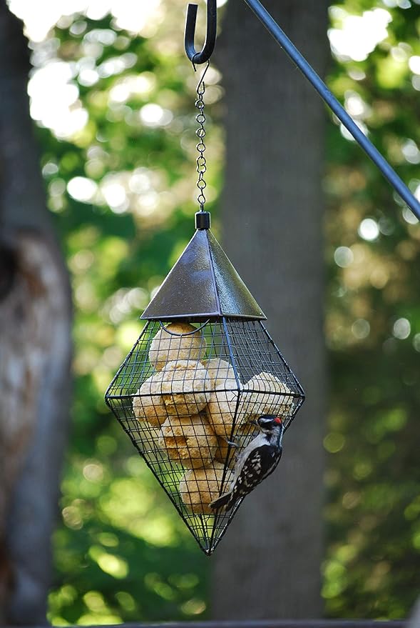 Wildlife Sciences Suet Balls 24 Pack, 6 Individually Wrapped Packs of 4 Bird Suet Balls (Insect and Nuts)