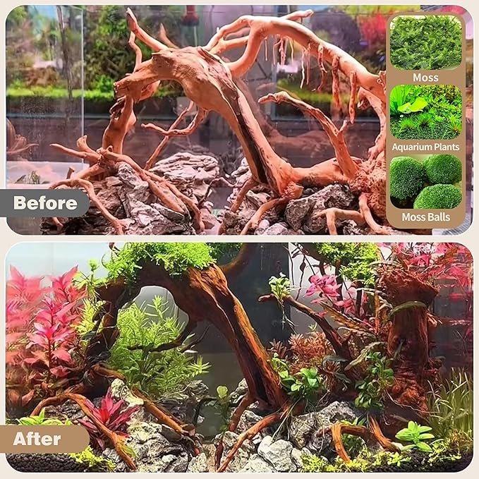 WDEFUN Natural Spiderwood for Aquarium Decor 7-Piece 4''-8'' Long Natural Driftwood Branches for Fish Tank Decorations