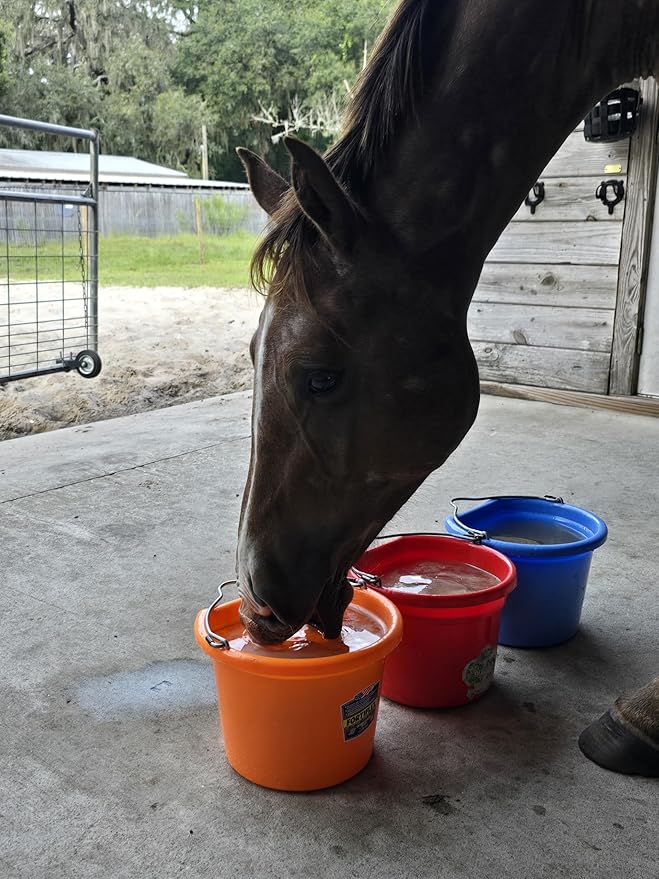 Low Calorie Hydration, Feed Topper & Treat | Safe, NO Electrolyte/Salt for Daily Intake | No Sugar Added | Hydration Support for Horses, Livestock & Dogs | 8 Servings | Caked Up Carrot