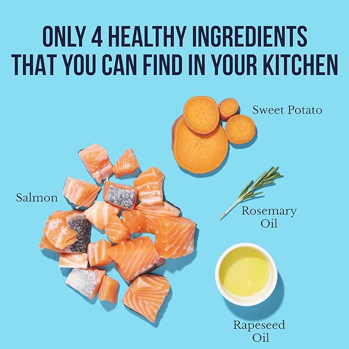 Snif-Snax Salmon Bites Dog Treats (8oz), All Natural Human-Grade Training Treats for Dogs, Healthy Grain-Free Puppy & Adult Rewards, High Protein Soft Salmon Snacks