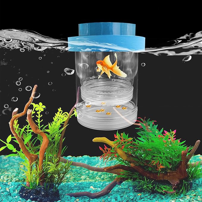 Small Floating Fish Breeding Box, Plastic Breeding Box for Fish Tank with Suction Cup, Clear Aquarium Divider Incubator, Adjustable Isolation Hatchery for Shrimp Guppy (Small)