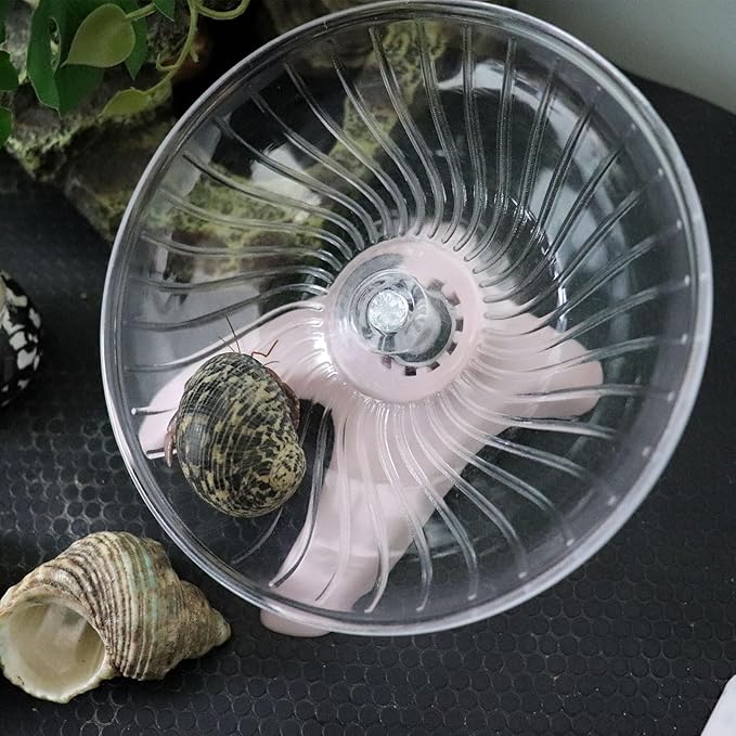 Hermit Crab Toys, Hamster Wheel, Hermit Crabs Accessories, Hermit Crab Climbing Toys, Hermit Crabs Supplies, Running Wheel Tank Accessories