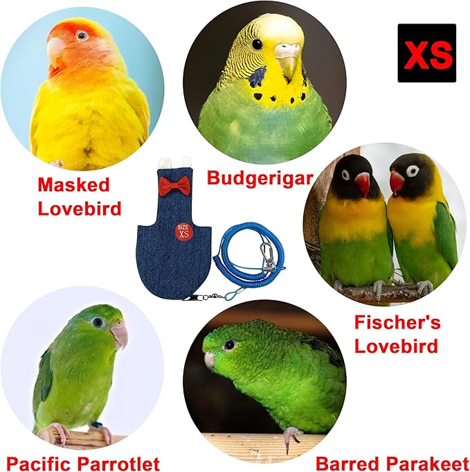 Parrot Clothes - Diaper Bird Flight Suit with Adjustable Straps, Harness, Elastic Training Rope (1PCS, Denim Blue, XS)