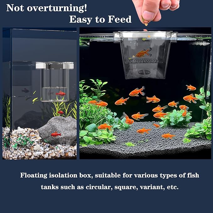 WEAVERBIRD Aquarium Fish Breeder Box, Acrylic Fish Isolation Breeding Box, Square Hatchery Box Hatching Incubator Box for Baby Fish Shrimp Clownfish Guppy