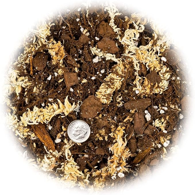 Gardenera Premium Orchid Mix by GARDENERA | Fern + New Zealand Pine Bark + Sphagnum Moss + Perlite | Best for Growing and Repotting Orchids - 4 Quart Bag