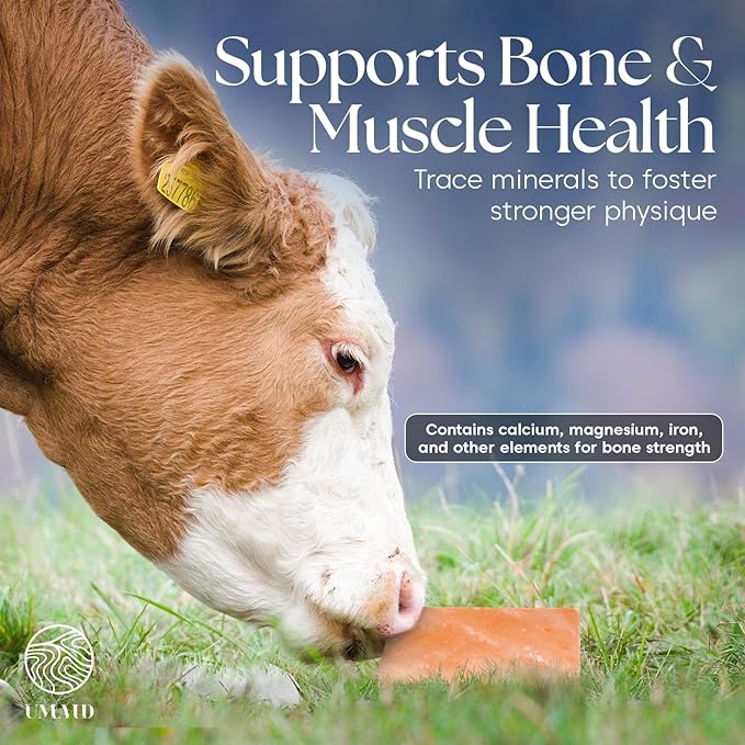 UMAID Himalayan Salt Block – 8x4x2 2-Pack – 100% Natural Mineral Salt Lick for Horses, Cows, Goats & Sheep – Animal Feed Supplement, Long-Lasting Salt Chunks