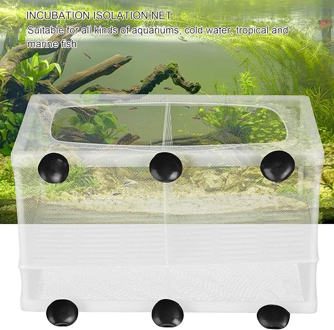 Fish Breeder Box, Fish Isolation Boxes with Suction Cups Hatching Incubator Isolation Box for Small Fishes Hatchery(L with Partition)