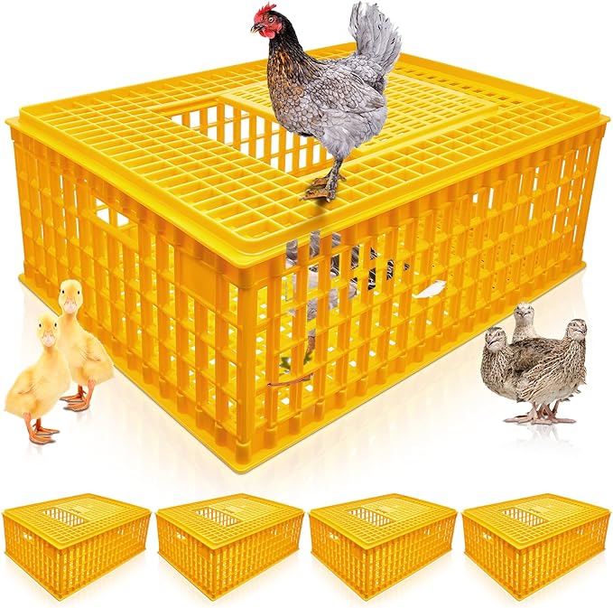 Sintuff 2-Piece Poultry Carrier - Plastic Chicken Transport Cage, 29.5 x 21.7 x 11.6 Inch