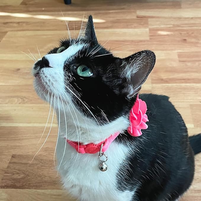 azuza 2 Pack Cat Collar Floral with Bell and Removable Flower Bowtie Breakaway Adjustable Velvet Fabric Cat Collar for Pets and Daily Decoration, Light Pink & Dark Pink