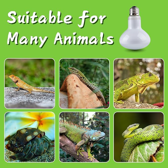 Reptile Heat Light Bulb, 100 Watt UVA Basking Spot Lamp Bulbs, Daylight Heating Spotlight for Turtle, Bearded Dragon, Tank, Lizard, Snake, Leopard Gecko, Chameleon, Ball Python - 4 Pack