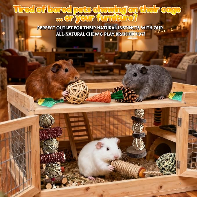 Rabbit Toys Bunny chew/Guinea Pig Toys Natural Timothy Hay Sticks Apple Wood Sticks Handmade for Guinea Pig Hamster Rat Chinchilla (TOY-1-11)