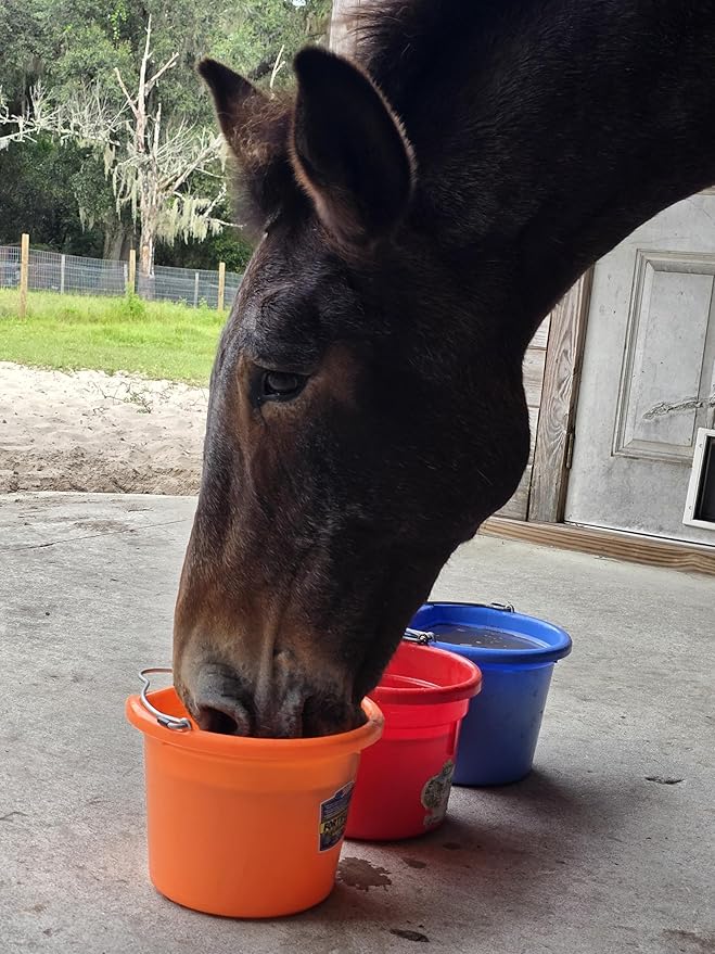 Low Calorie Hydration, Feed Topper & Treat | Safe, NO Electrolyte/Salt for Daily Intake | No Sugar Added | Hydration Support for Horses, Livestock & Dogs | 8 Servings | Caked Up Carrot