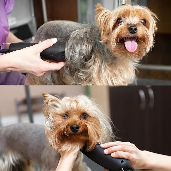 Detachable A Series 5 Blade Dog Grooming Skip Tooth Cuts Length 1/4" - 6.4mm Japanese High Carbon Steel Dog Clippers for Grooming | Detachable Clipper Blade 5 (Compatible A5 Series(B5)