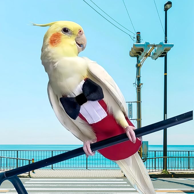 Bird Diapers with Bow Bird Harness Tuxedo Flight Suits with 80in Flying Leash Parrot Nappy with Waterproof Inner Layer Urine Wet Suite for Cockatiel Conure Parakeet Macaw Budgie-Red,S