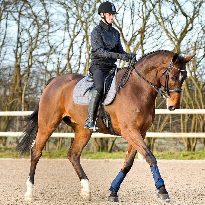 HORZE Brushing Splint Boots for Horses (Pair) - Durable Neoprene, Secure Closure, Lightweight - Blue - L