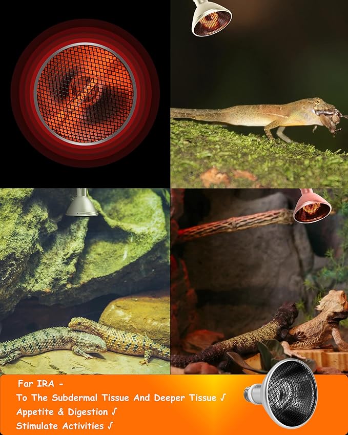 Deep Heat Projector - DHP 100W Infrared Reptile Heat Lamp Bulbs for Turtle Light Bearded Dragon Chicken Lizard Leopard Gecko Snake