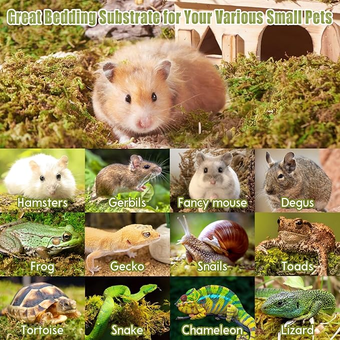 Riare 25QT Natural Hamster Moss Bedding Nesting-Soft Forest Moss Hamster Habitat Reptile Moss for Dwarf Syrian Hamsters, Mices, Gerbils, Reptiles, Small Pets (1.3LBS)