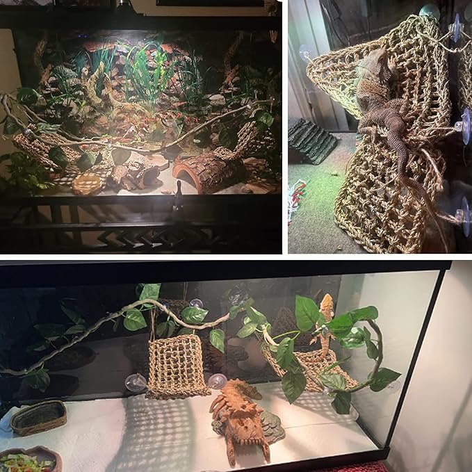 Tfwadmx Bearded Dragon Hammock Lizard Lounger Natural Seagrass Fiber Reptile Climbing Toys Jungle Climber Vines Decor for Hermit Crabs Geckos Snakes
