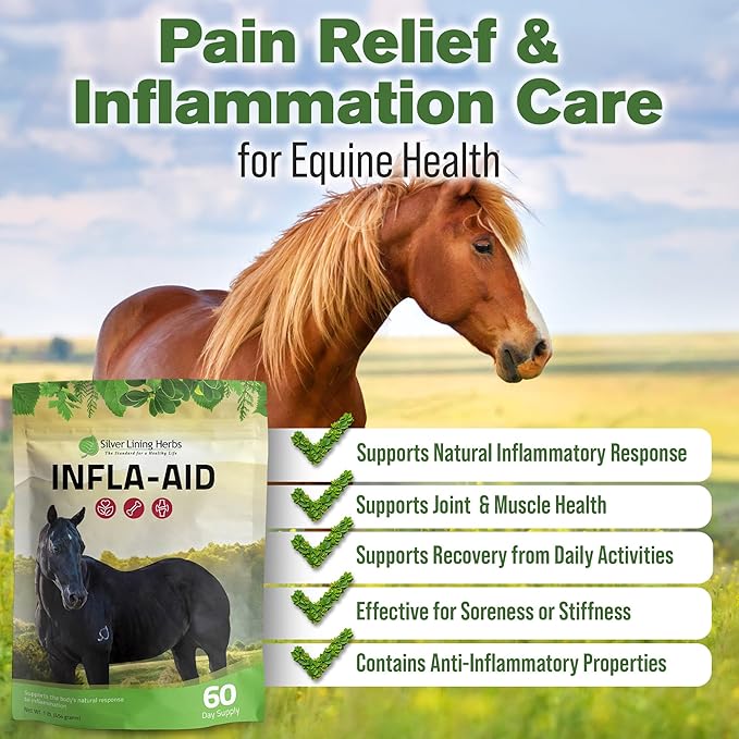 Silver Lining Herbs Infla-Aid for Horses – Natural Anti Inflammatory Supplement for Inflammation Relief – Supports Recovery, Comfort, and Mobility in Muscles, Tendons & Joints – 1 lb Bag (60 Servings)