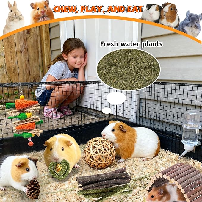 Rabbit Toys Bunny chew/Guinea Pig Toys Natural Timothy Hay Sticks Apple Wood Sticks Handmade for Guinea Pig Hamster Rat Chinchilla (TOY-1-18)