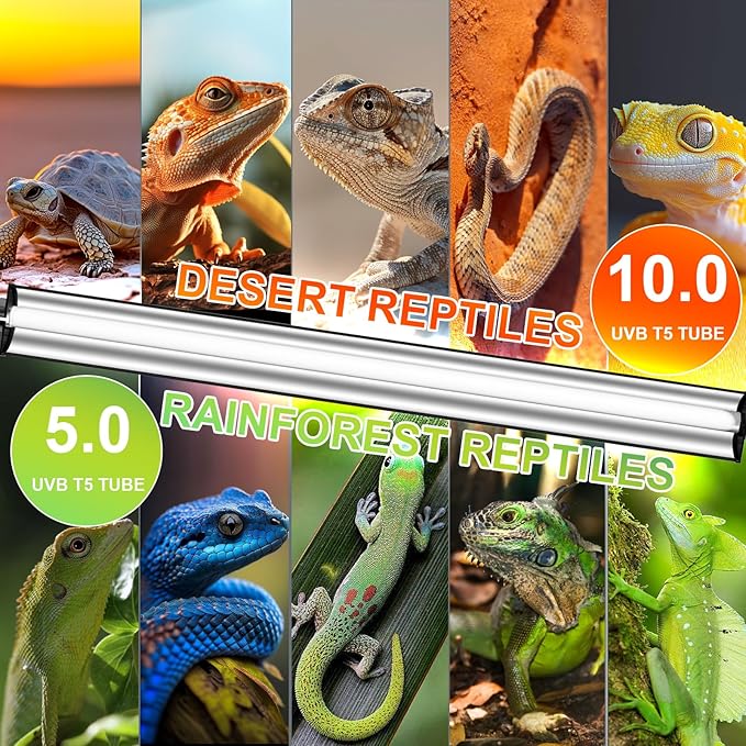 24W T5 UVB Reptile Light Fixture Combo Kit – 10.0 UVB Fluorescent Tube for Bearded Dragons, Lizards & Tortoises – UVA UVB Reptile Light, 22" Terrarium Hood (UVB 10.0-Desert, 22INCH-24W)