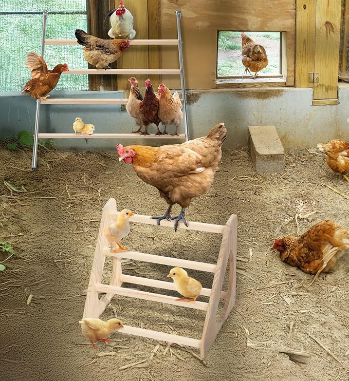 PETSFIT Chick Perch Prevent Rotation Design, Strong Wooden Chicken Roosting Bar, Easy to Assemble and Clean, Fun Toys for Chick Indoor/Outdoor Use