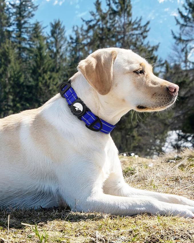 Joytale Airtag Dog Collar, Reflective Pet Collar with Waterproof AirTag Holder, Dual D-Rings, Soft Padded Adjustable for Small Dogs, Navy Blue, S