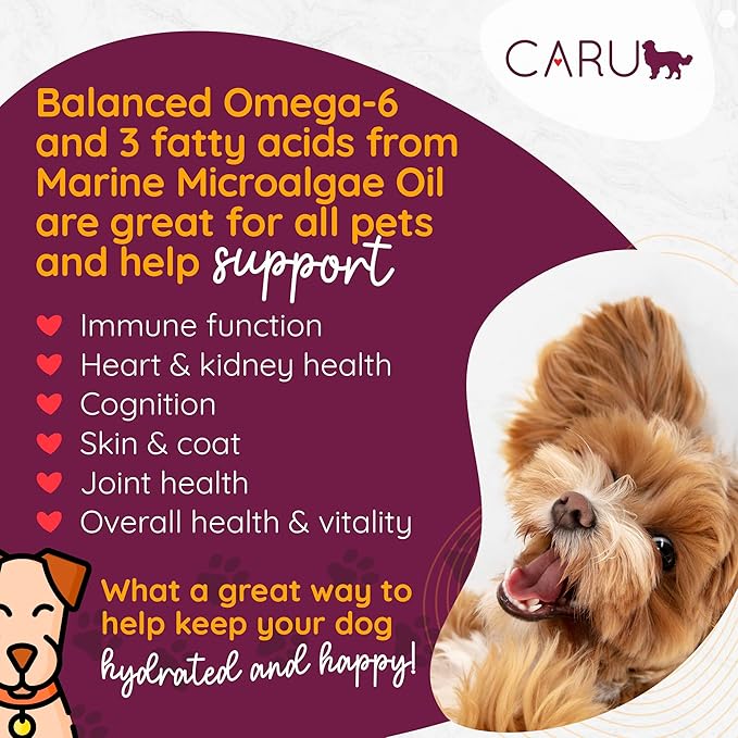 Caru - Classics Chicken Stew for Dogs - Healthy Wet Dog Food or Food Topper - Balanced Omega Blend - 12.5 oz Cartons - Pack of 4