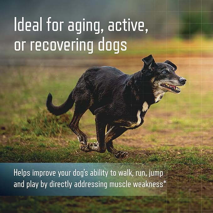 URSOLYX Soft Chews for Dogs | Muscle Health Support for Senior, Active or Recovering Dogs, Small | 120 Count 4-Month Supply