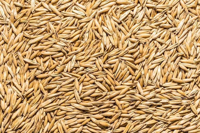 Thunder Acres Non GMO, Certified Organic, Oat Seed (2 lb.)