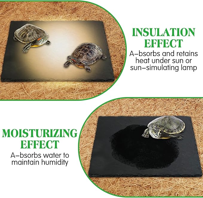 Tfwadmx Reptile Basking Platform, Tortoise Feeding Dish, Natural Rock Reptile Food Bowl Landscape Habitat Decor for Turtle Lizard Bearded Dragon Crested Gecko Snake