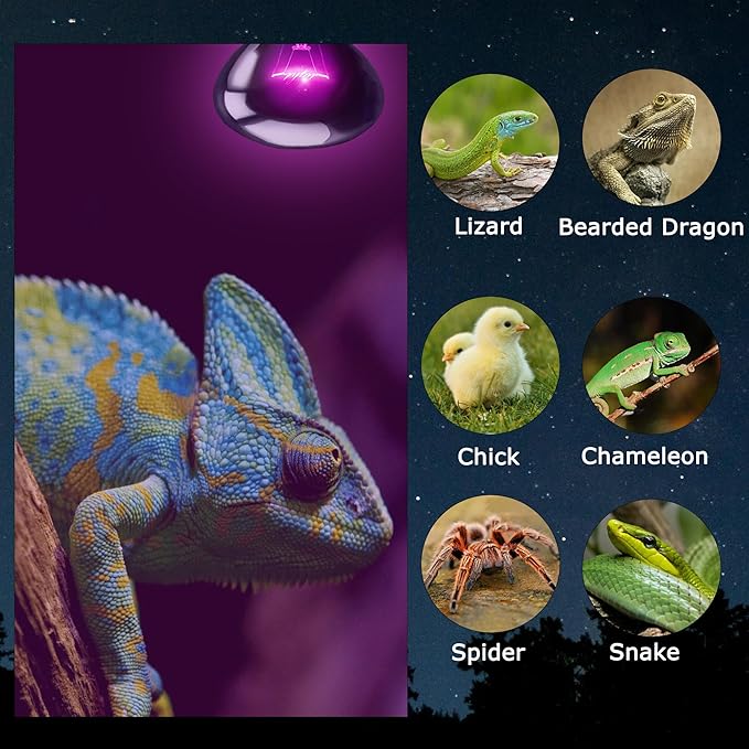 75W Reptile Night Light Bulb - Purple Basking Lamp to Simulate Natural Moonlight for Lizards, Snakes, Turtles - Basking Spot Bulb for Aquariums, Tanks, Promotes Healthy Behavior and Growth