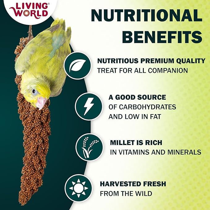 Living World – Millet Spray for Birds, 7 Oz – Premium Treat for Budgies, Canaries, Finches, Cockatiels and Other Pet Birds